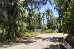 Overlooking Lot For Sale in Poblacion, Boljoon, Cebu City