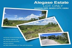 Residential Lot For Sale in Bogo Cebu City