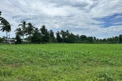 Lot For Sale in Perrelos, Carcar Cebu