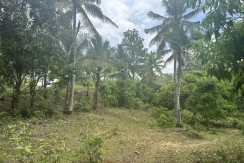 Molugan, El Salvador, Misamis Oriental Lot For Sale